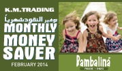 Monthly Money Saver February 2014